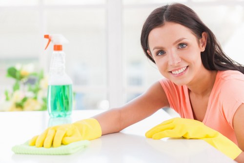 Professional upholstery cleaning for a sofa in a Chiswick home