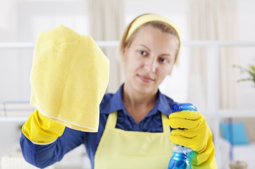 Professional one-off cleaning service for homes in Chiswick