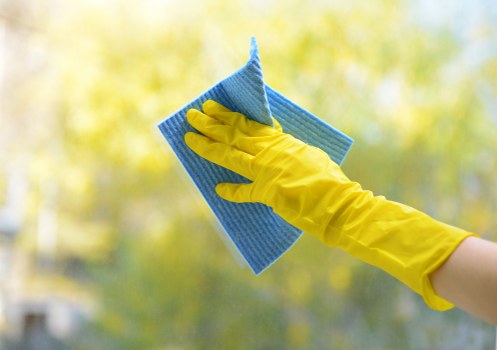 Professional stain removal service for carpets and upholstery in Chiswick