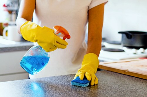 End of tenancy cleaning service for a flat near Chiswick