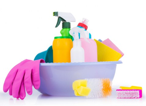 Upholstery cleaning team working in a Chiswick apartment