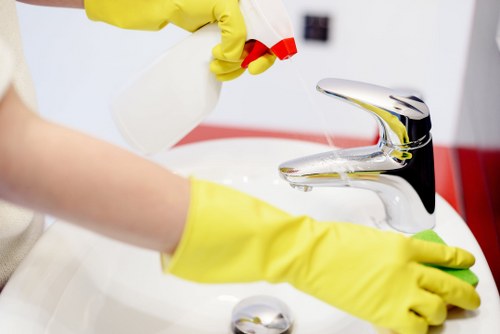 Local oven cleaning specialist working in a Chiswick property