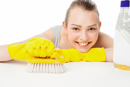 Local upholstery cleaner working in a Chiswick living room