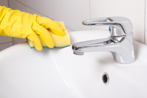 Local regular cleaning service for a Chiswick home