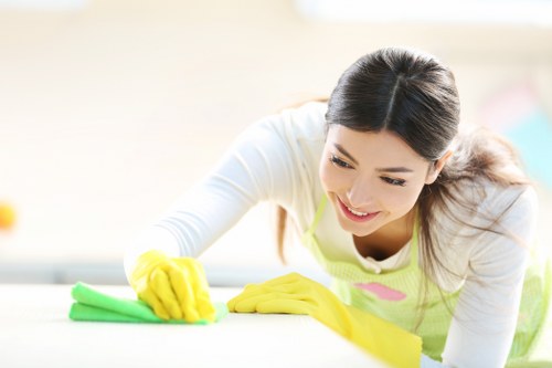 Regular cleaning for a family property in Chiswick
