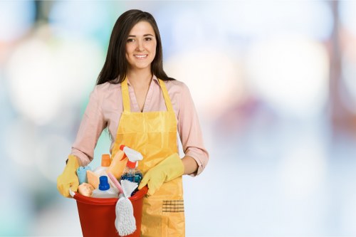 Domestic cleaning support for a local property in Chiswick