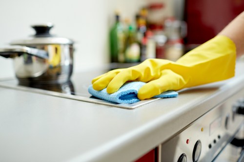 Odour removal and mattress freshening service in Chiswick