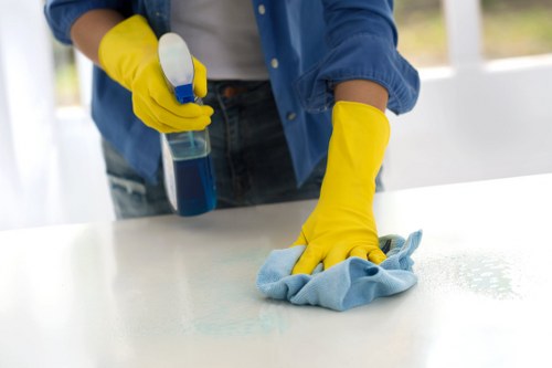 Deep mattress cleaning equipment used in a Chiswick property